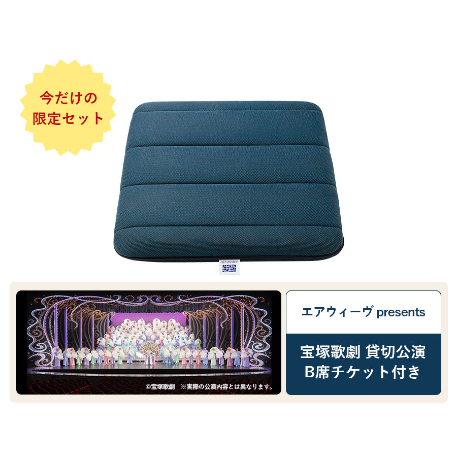 特別販売】エアウィーヴ クッション＋宝塚歌劇 B席チケット（1枚）特別