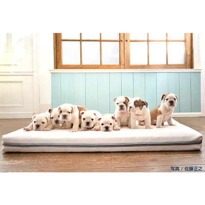 エアウィーヴのペット用アイテム