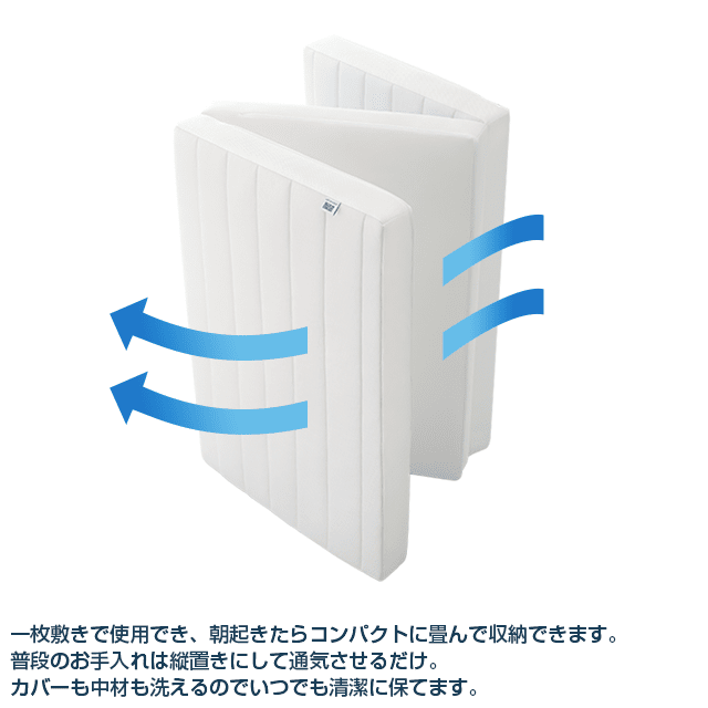 リサイクルキャンペーン対象商品】エアウィーヴ スマート Z01