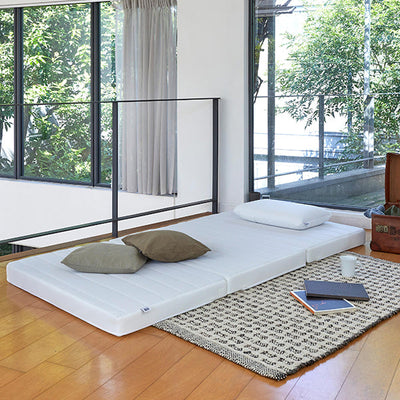 エアウィーヴ スマート Z01