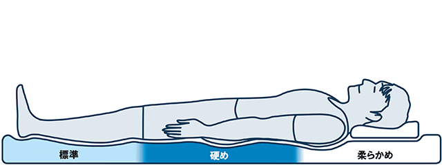 エアウィーヴ 四季布団 和匠(わしょう) シングル